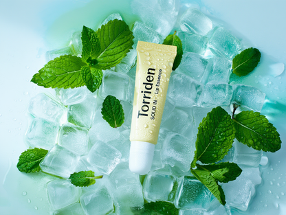 Torriden  Solid-in Lip Essence